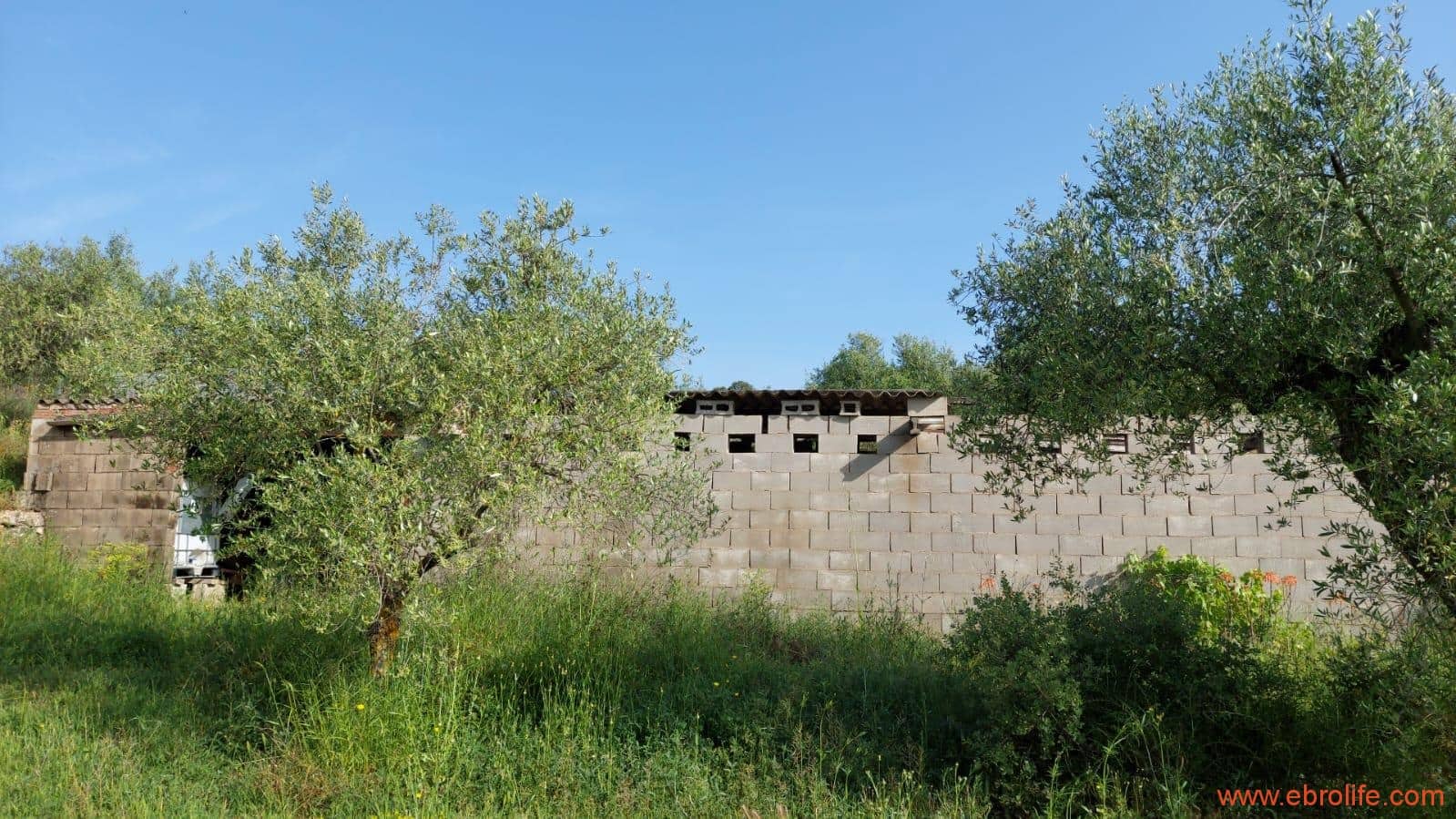 1 soveværelse Finca/Landehus til salg i Els Guiamets - € 96.000 (Ref: 9107280)