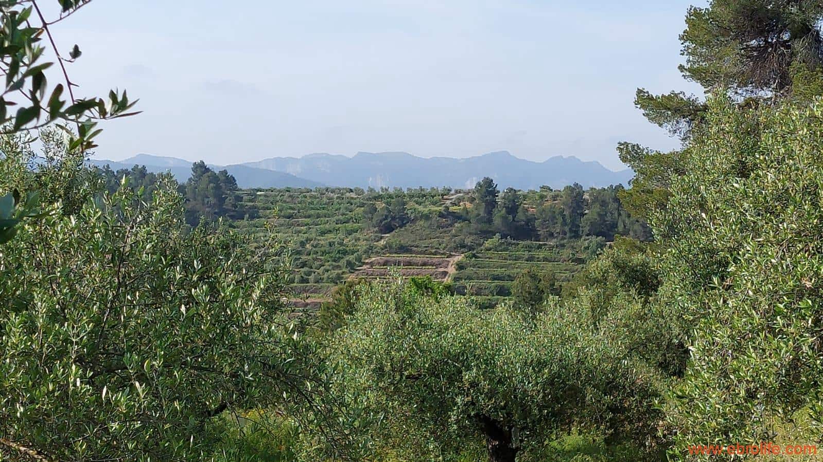 1 soveværelse Finca/Landehus til salg i Els Guiamets - € 96.000 (Ref: 9107280)