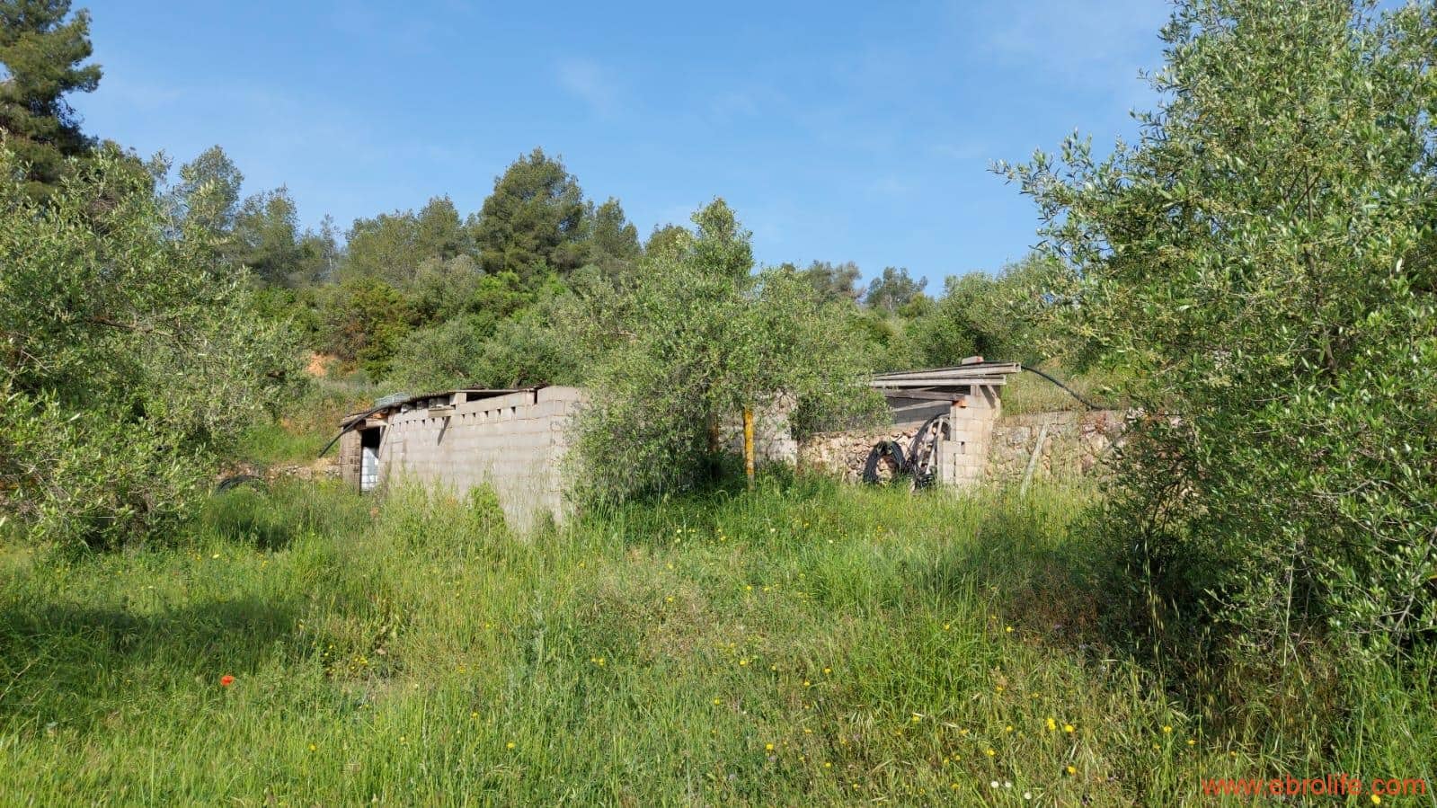 1 soveværelse Finca/Landehus til salg i Els Guiamets - € 96.000 (Ref: 9107280)