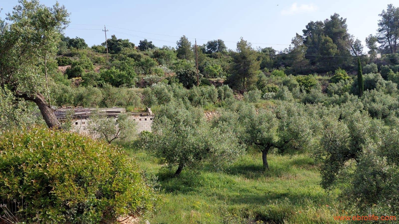 1 soveværelse Finca/Landehus til salg i Els Guiamets - € 96.000 (Ref: 9107280)