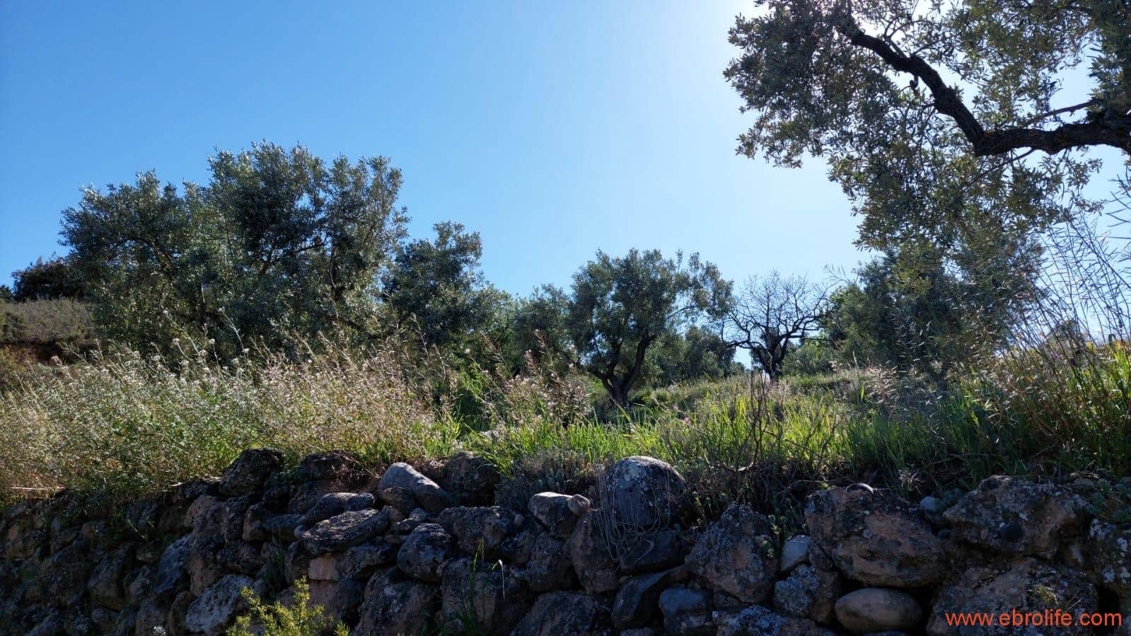 1 sypialnia Finka/Dom wiejski na sprzedaż w Mas de las Matas - 25 000 € (Ref: 9107292)