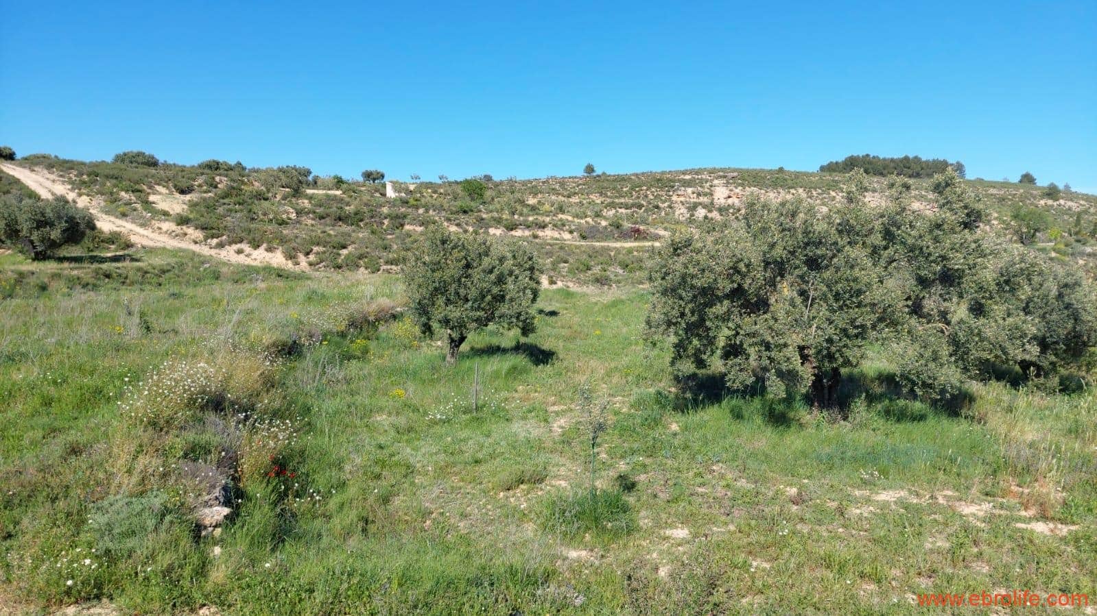 1 sypialnia Finka/Dom wiejski na sprzedaż w Mas de las Matas - 25 000 € (Ref: 9107292)