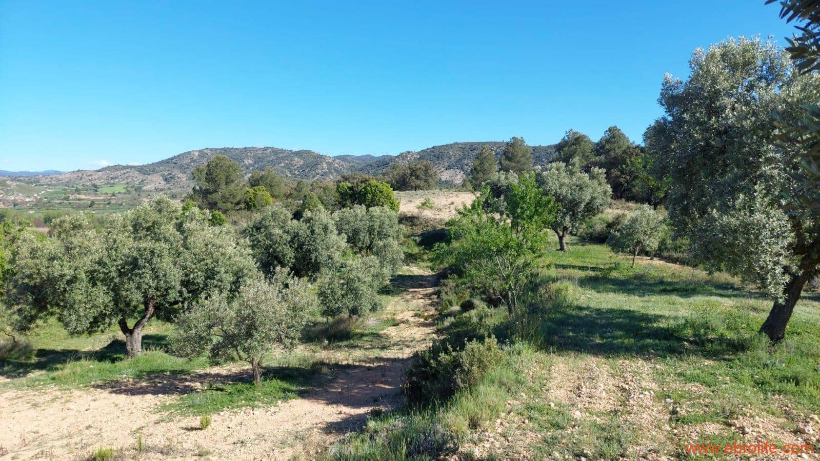 1 sypialnia Finka/Dom wiejski na sprzedaż w Mas de las Matas - 25 000 € (Ref: 9107292)