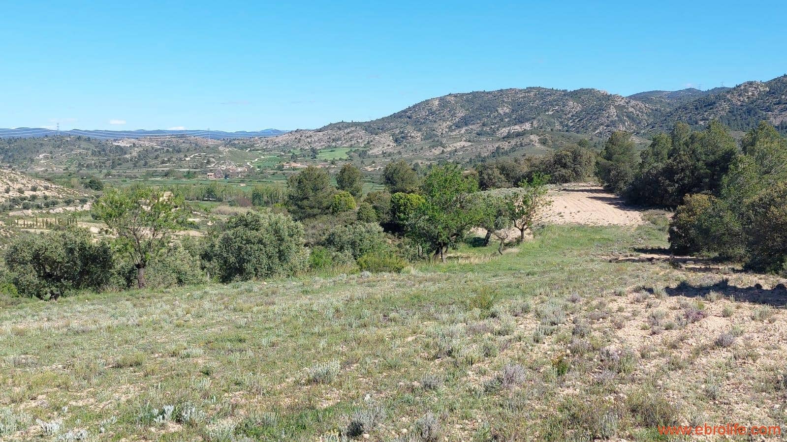 1 sypialnia Finka/Dom wiejski na sprzedaż w Mas de las Matas - 25 000 € (Ref: 9107292)