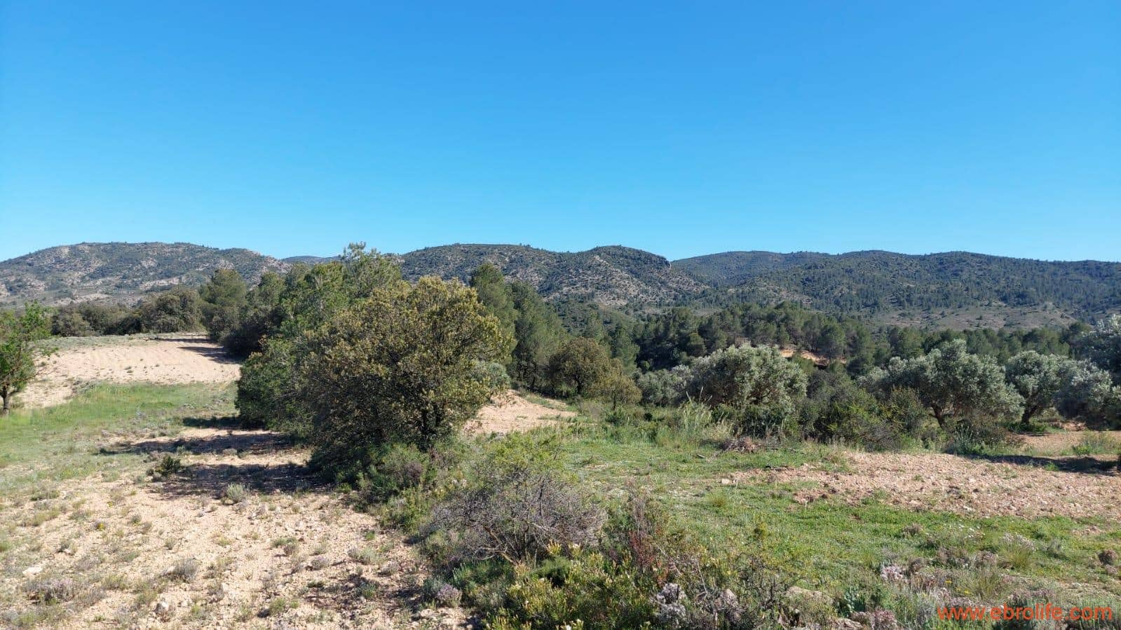 1 sypialnia Finka/Dom wiejski na sprzedaż w Mas de las Matas - 25 000 € (Ref: 9107292)