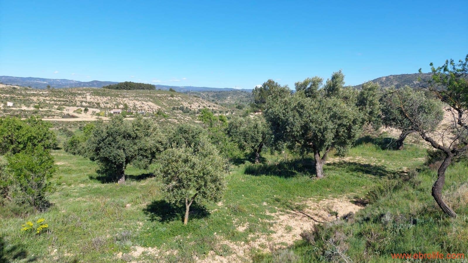 1 sypialnia Finka/Dom wiejski na sprzedaż w Mas de las Matas - 25 000 € (Ref: 9107292)