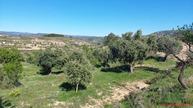 1 quarto Quinta/Casa Rural para venda em Mas de las Matas - 25 000 € (Ref: 9107292)