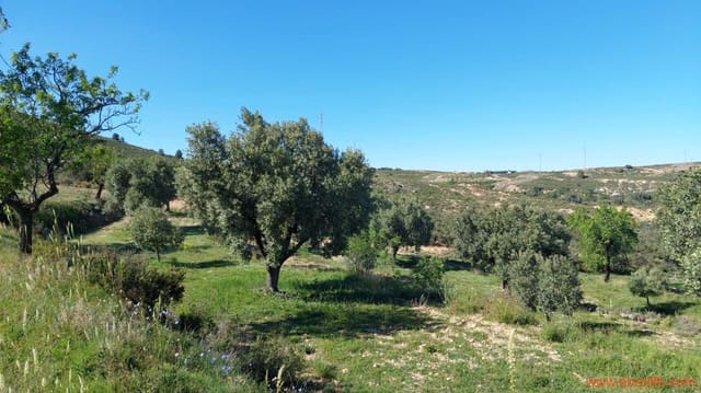 1 quarto Quinta/Casa Rural para venda em Mas de las Matas - 25 000 € (Ref: 9107292)