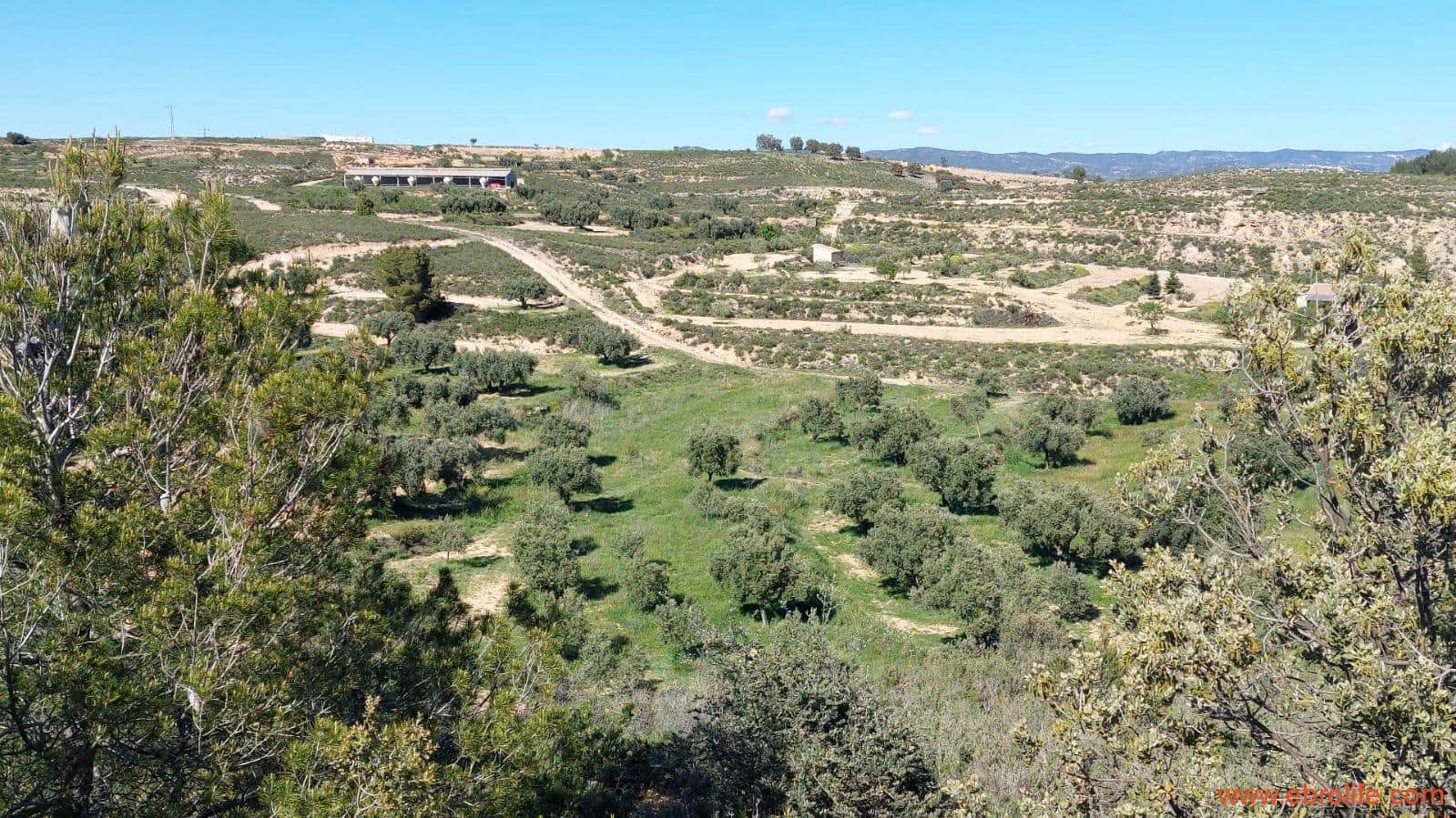 1 sypialnia Finka/Dom wiejski na sprzedaż w Mas de las Matas - 25 000 € (Ref: 9107292)