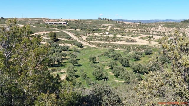 1 quarto Quinta/Casa Rural para venda em Mas de las Matas - 25 000 € (Ref: 9107292)