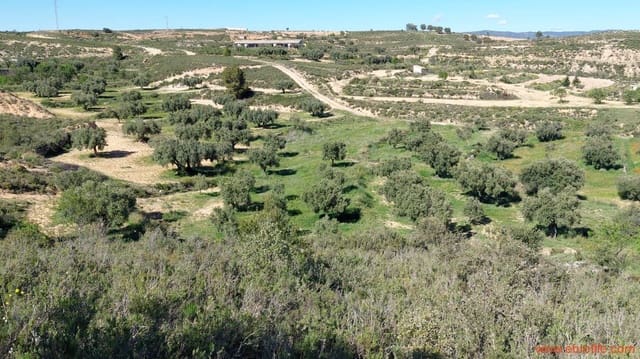 1 quarto Quinta/Casa Rural para venda em Mas de las Matas - 25 000 € (Ref: 9107292)