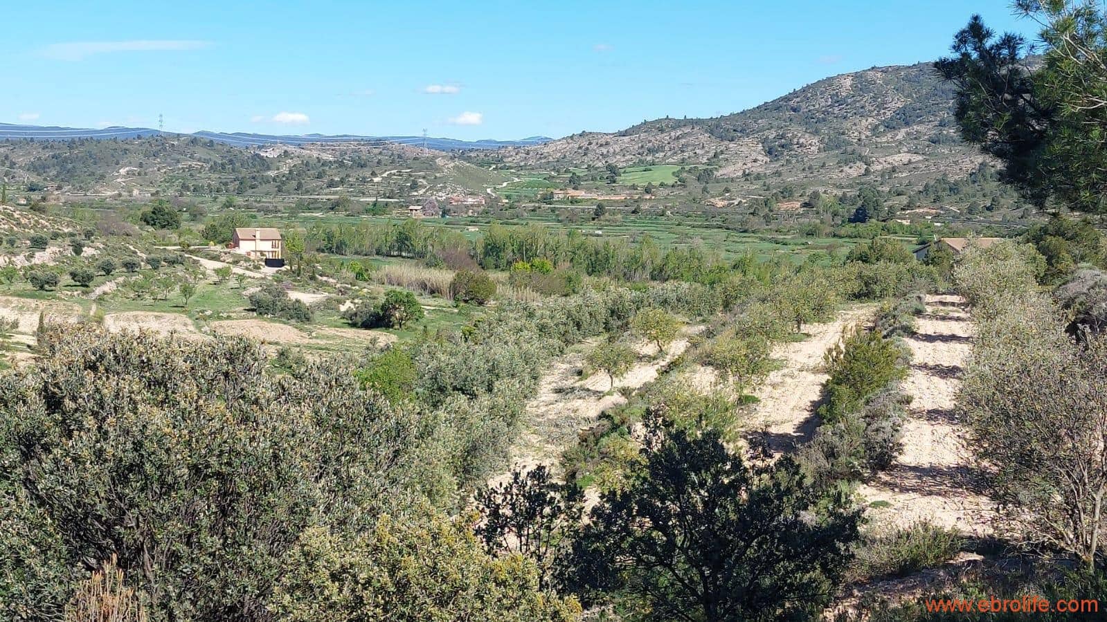 1 sypialnia Finka/Dom wiejski na sprzedaż w Mas de las Matas - 25 000 € (Ref: 9107292)