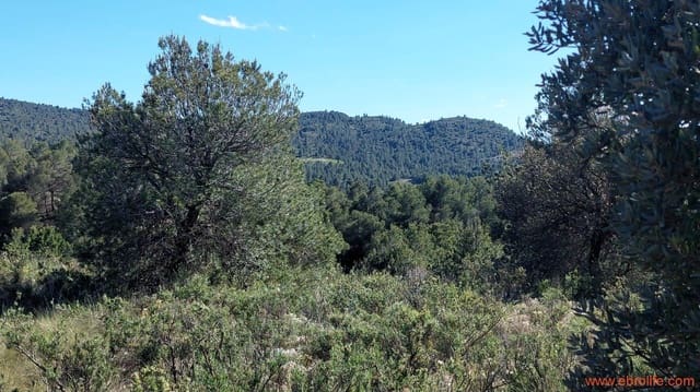 1 quarto Quinta/Casa Rural para venda em Mas de las Matas - 25 000 € (Ref: 9107292)