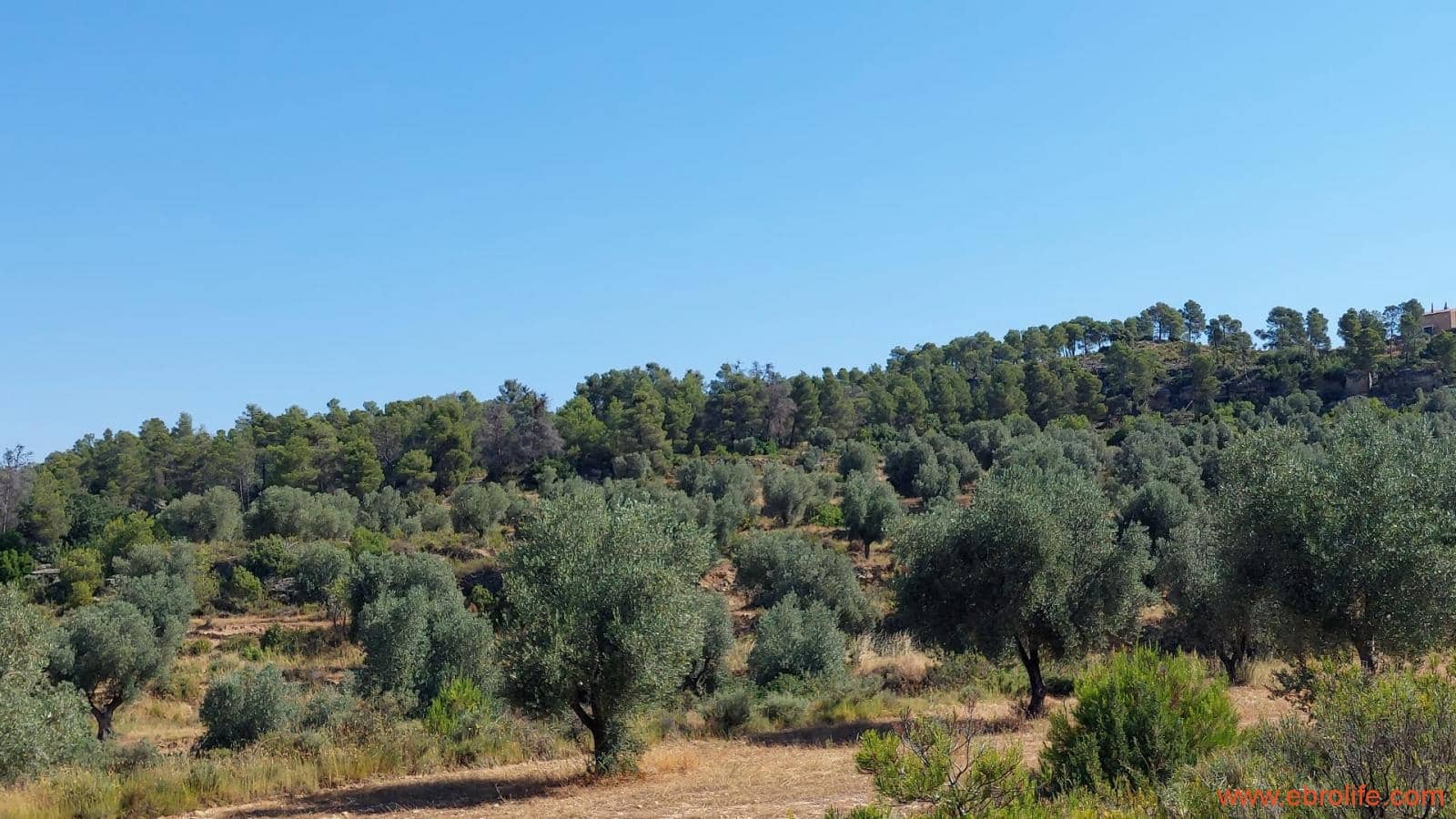 1 sovrum Finca/Hus på landet till salu i Belmonte de San Jose - 140 000 € (Ref: 9142407)