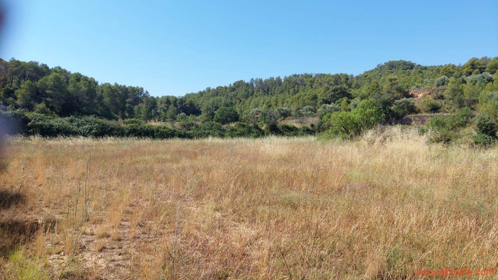 1 sovrum Finca/Hus på landet till salu i Belmonte de San Jose - 140 000 € (Ref: 9142407)