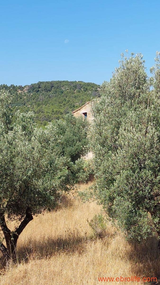 1 sovrum Finca/Hus på landet till salu i Belmonte de San Jose - 140 000 € (Ref: 9142407)