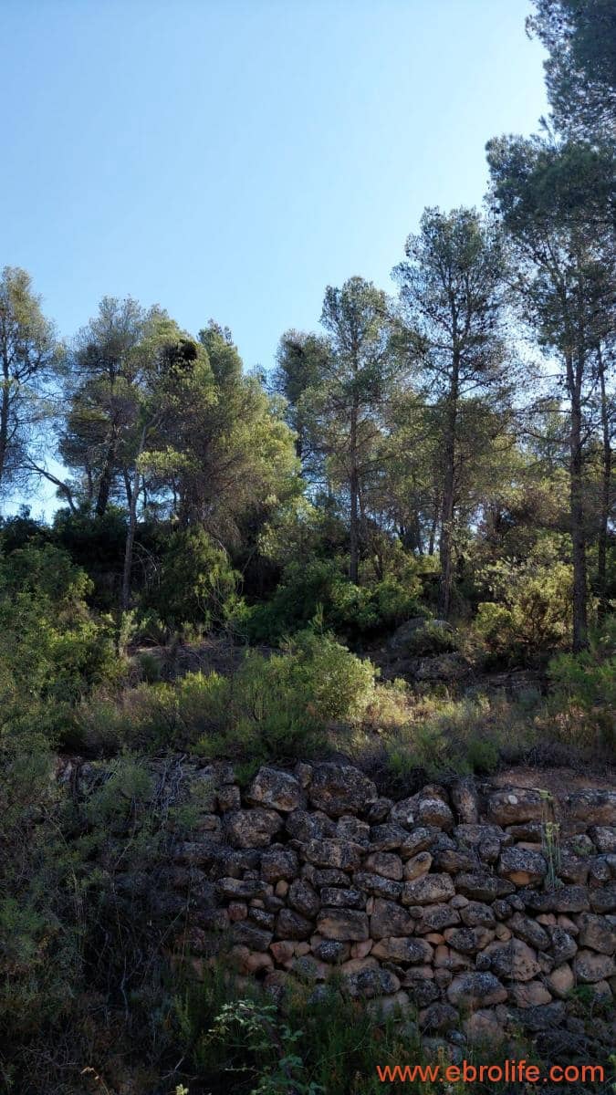 1 sovrum Finca/Hus på landet till salu i Belmonte de San Jose - 140 000 € (Ref: 9142407)