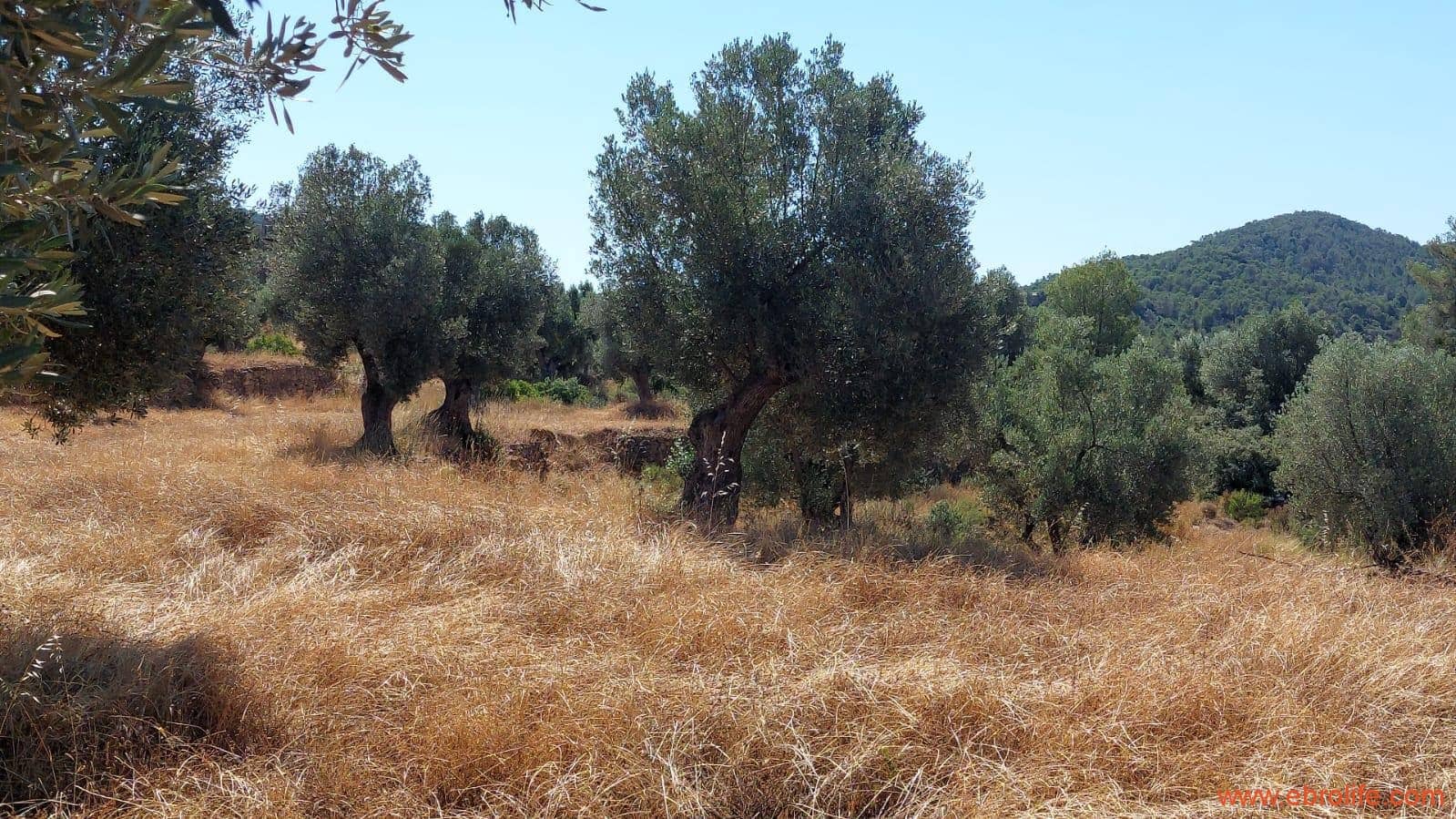 1 sovrum Finca/Hus på landet till salu i Belmonte de San Jose - 140 000 € (Ref: 9142407)