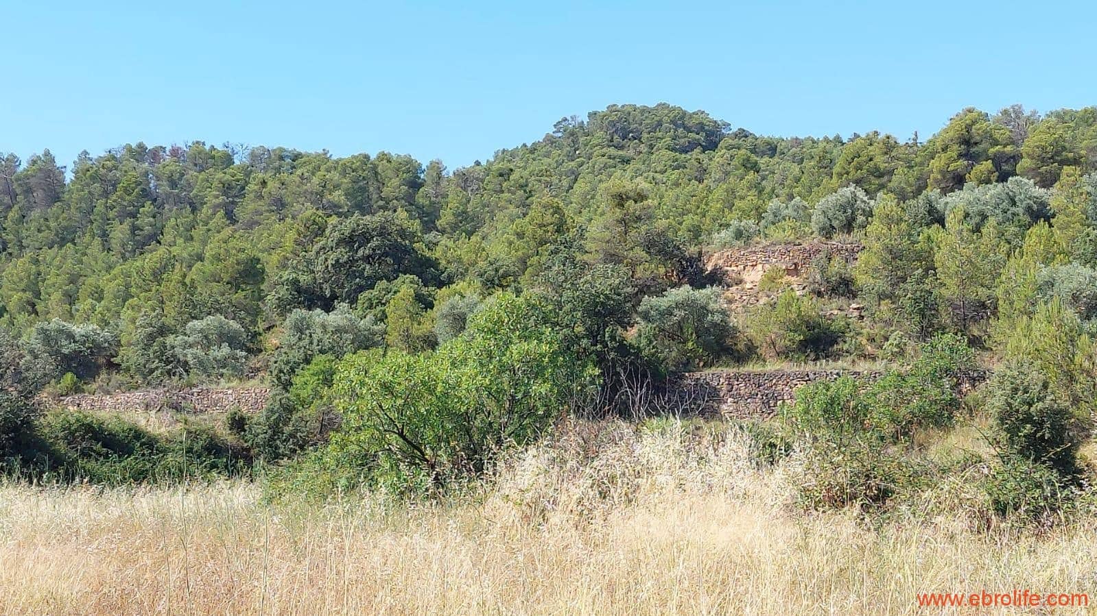 1 sovrum Finca/Hus på landet till salu i Belmonte de San Jose - 140 000 € (Ref: 9142407)