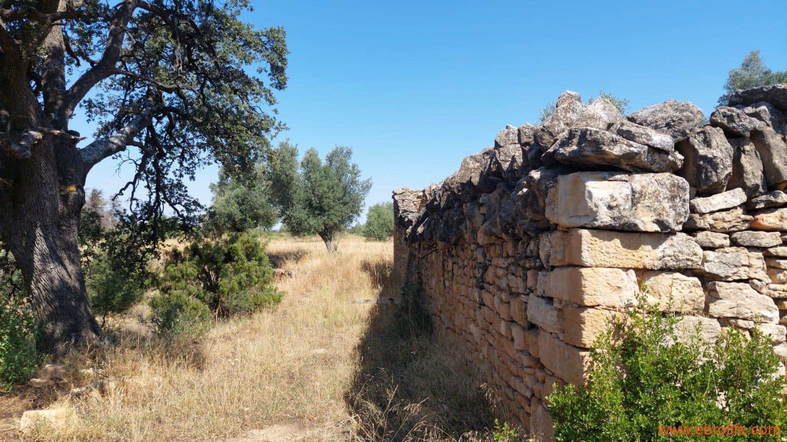 1 sovrum Finca/Hus på landet till salu i Belmonte de San Jose - 140 000 € (Ref: 9142407)