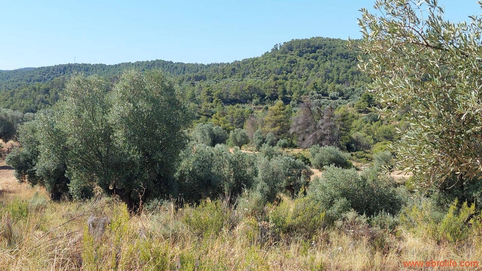 1 sovrum Finca/Hus på landet till salu i Belmonte de San Jose - 140 000 € (Ref: 9142407)