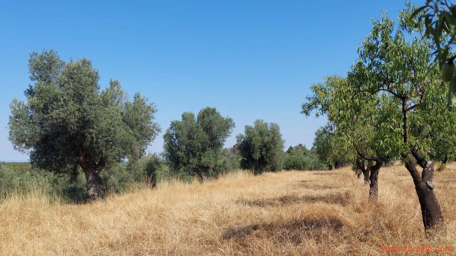 1 sovrum Finca/Hus på landet till salu i Belmonte de San Jose - 140 000 € (Ref: 9142407)