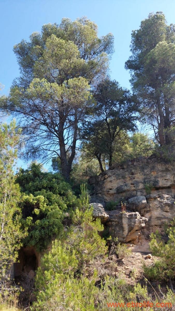 1 sovrum Finca/Hus på landet till salu i Belmonte de San Jose - 140 000 € (Ref: 9142407)