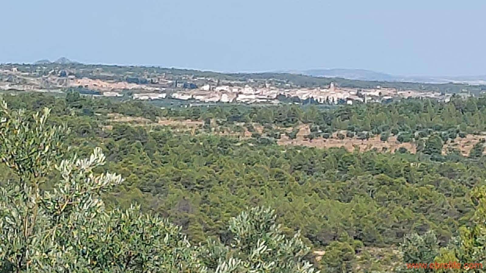 1 sovrum Finca/Hus på landet till salu i Belmonte de San Jose - 140 000 € (Ref: 9142407)