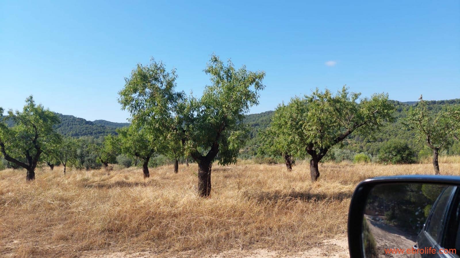 1 sovrum Finca/Hus på landet till salu i Belmonte de San Jose - 140 000 € (Ref: 9142407)