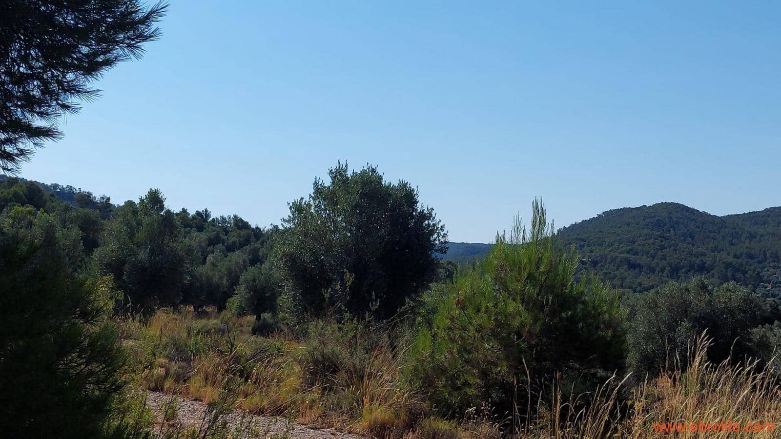 1 sovrum Finca/Hus på landet till salu i Belmonte de San Jose - 140 000 € (Ref: 9142407)