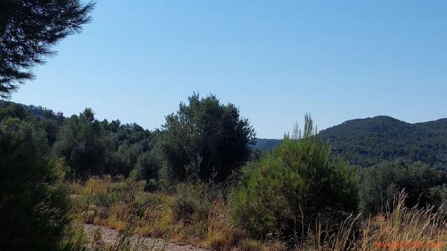 1 sypialnia Finka/Dom wiejski na sprzedaż w Belmonte de San José - 140 000 € (Ref: 9142407)