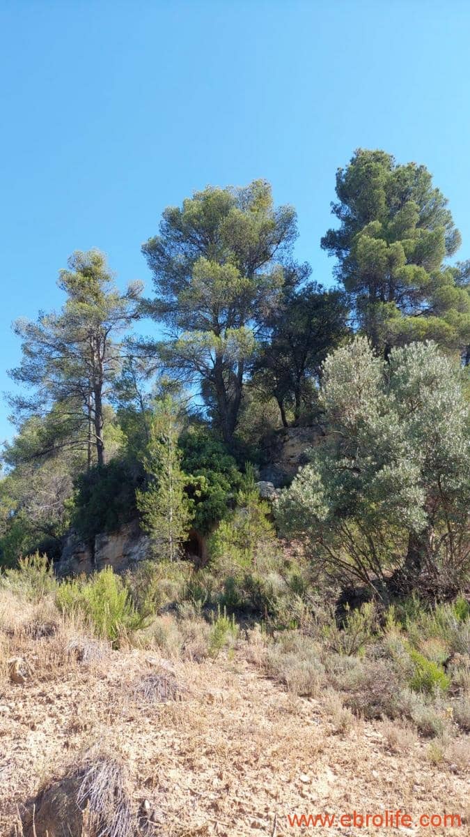 1 sovrum Finca/Hus på landet till salu i Belmonte de San Jose - 140 000 € (Ref: 9142407)