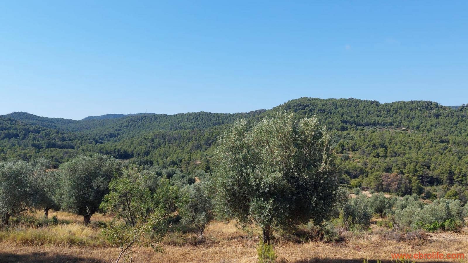 1 sovrum Finca/Hus på landet till salu i Belmonte de San Jose - 140 000 € (Ref: 9142407)