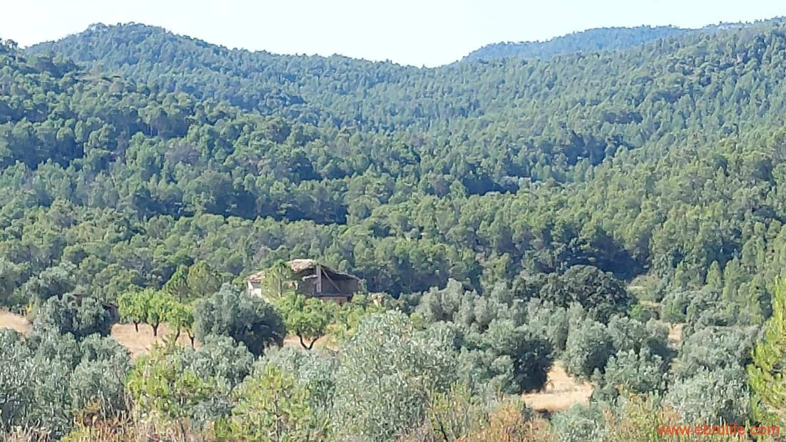 1 sovrum Finca/Hus på landet till salu i Belmonte de San Jose - 140 000 € (Ref: 9142407)