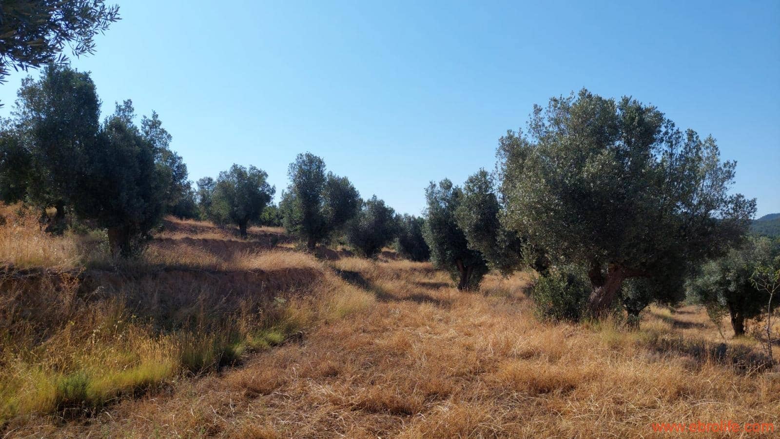 1 sovrum Finca/Hus på landet till salu i Belmonte de San Jose - 140 000 € (Ref: 9142407)