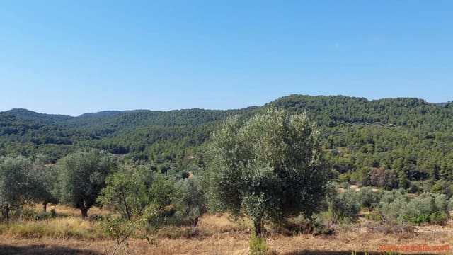 1 sypialnia Finka/Dom wiejski na sprzedaż w Belmonte de San José - 140 000 € (Ref: 9142407)