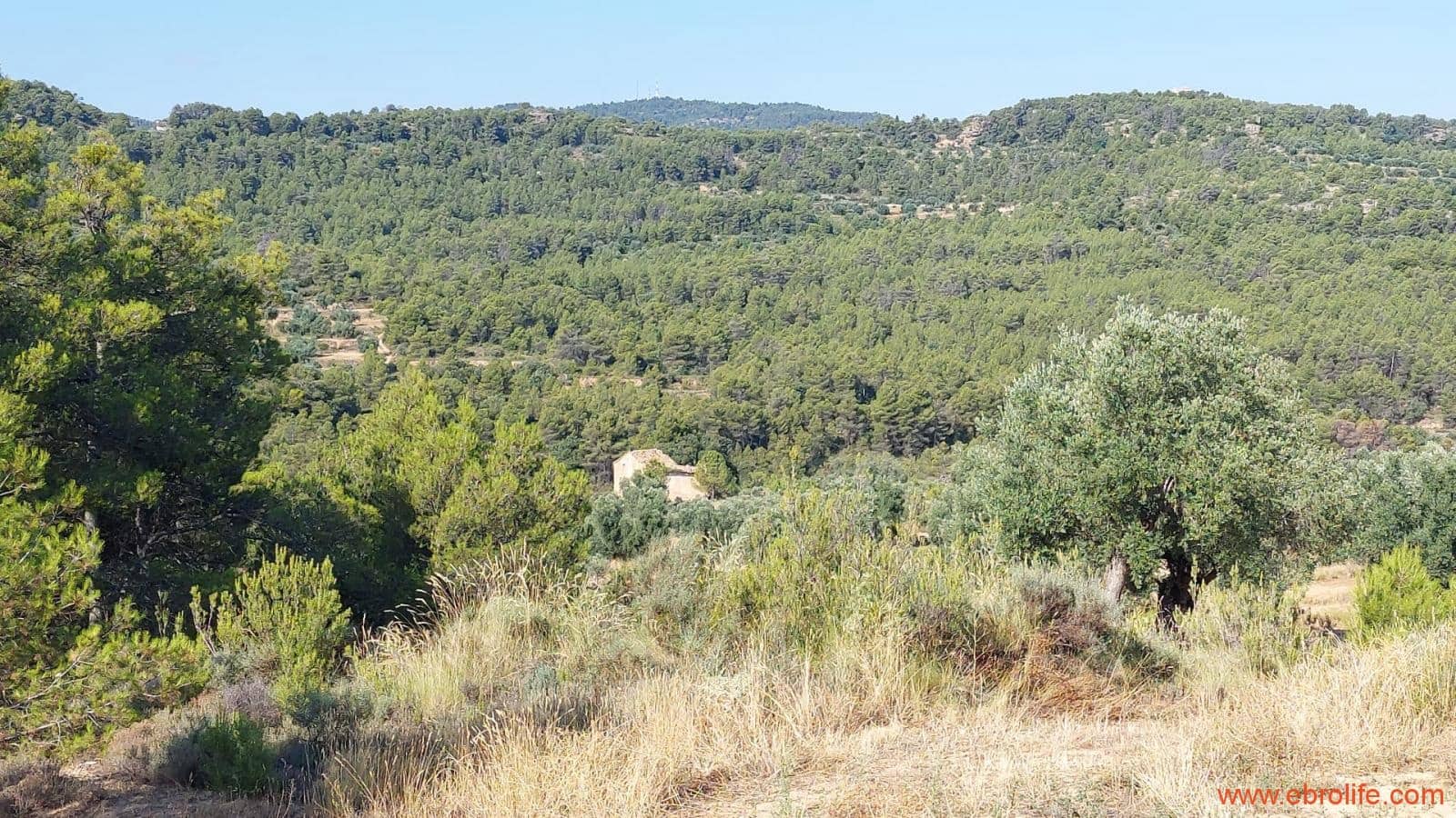 1 sovrum Finca/Hus på landet till salu i Belmonte de San Jose - 140 000 € (Ref: 9142407)