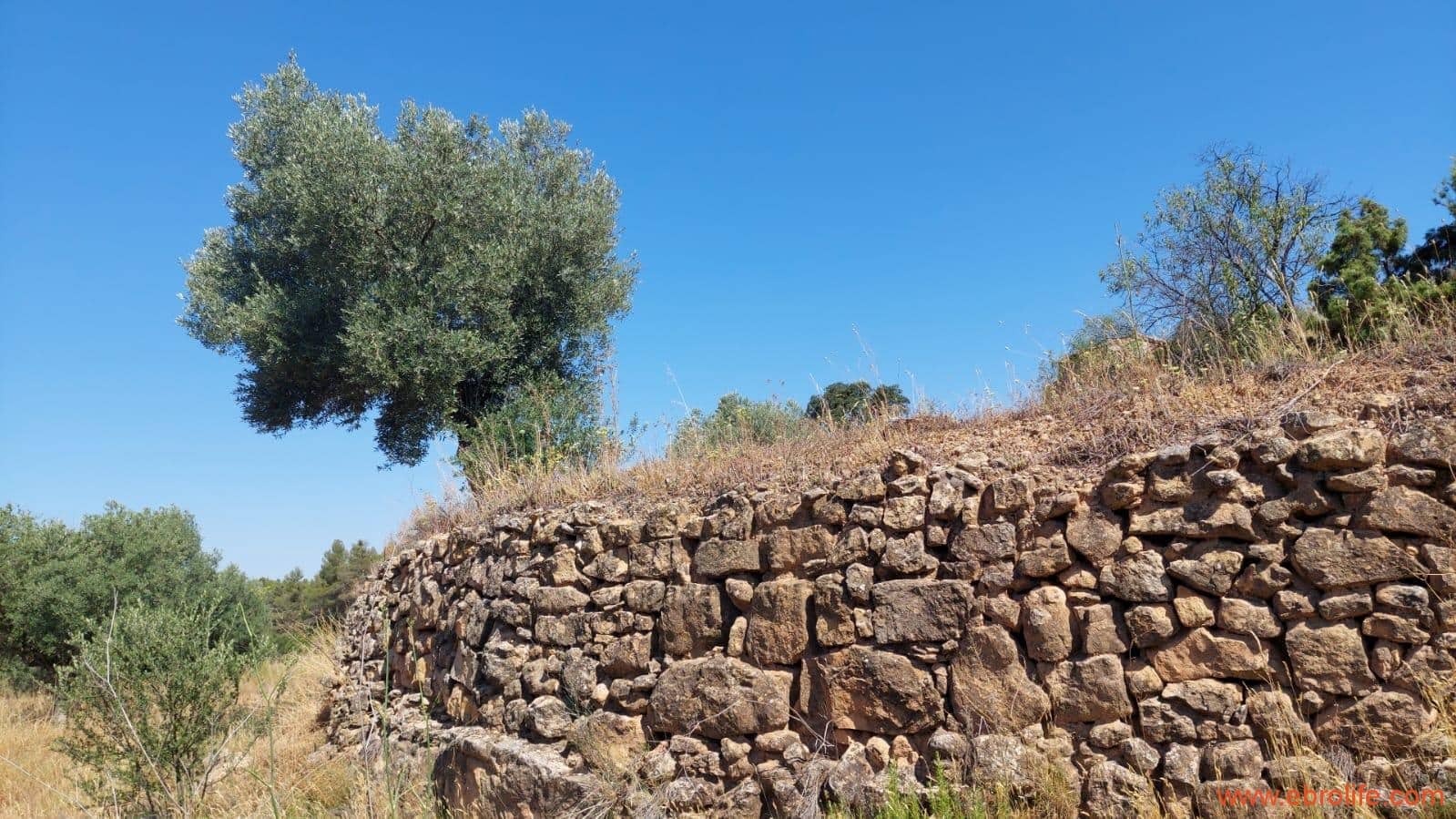 1 sovrum Finca/Hus på landet till salu i Belmonte de San Jose - 140 000 € (Ref: 9142407)