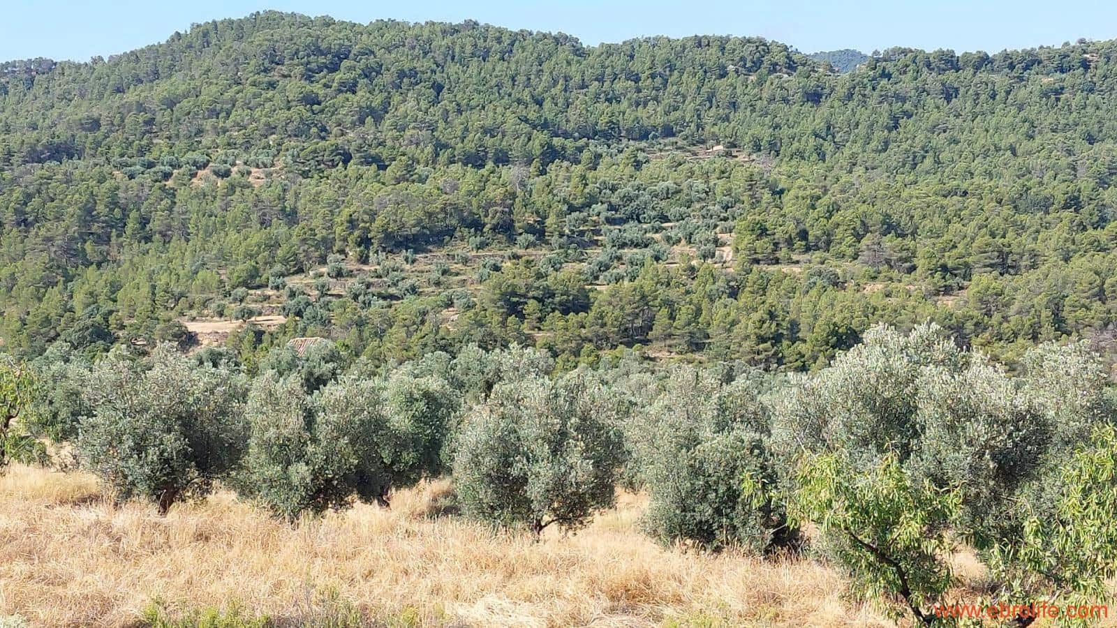 1 sovrum Finca/Hus på landet till salu i Belmonte de San Jose - 140 000 € (Ref: 9142407)