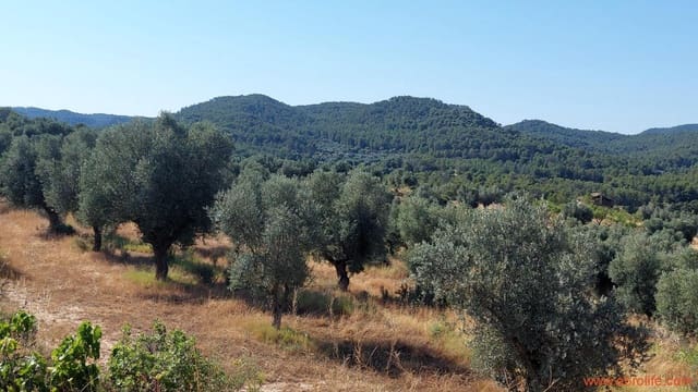 1 sypialnia Finka/Dom wiejski na sprzedaż w Belmonte de San José - 140 000 € (Ref: 9142407)