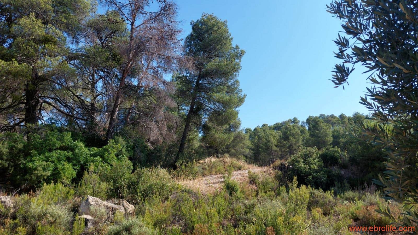 1 sovrum Finca/Hus på landet till salu i Belmonte de San Jose - 140 000 € (Ref: 9142407)