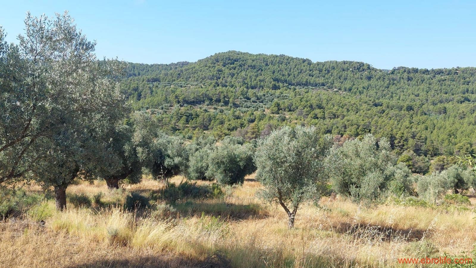 1 sovrum Finca/Hus på landet till salu i Belmonte de San Jose - 140 000 € (Ref: 9142407)