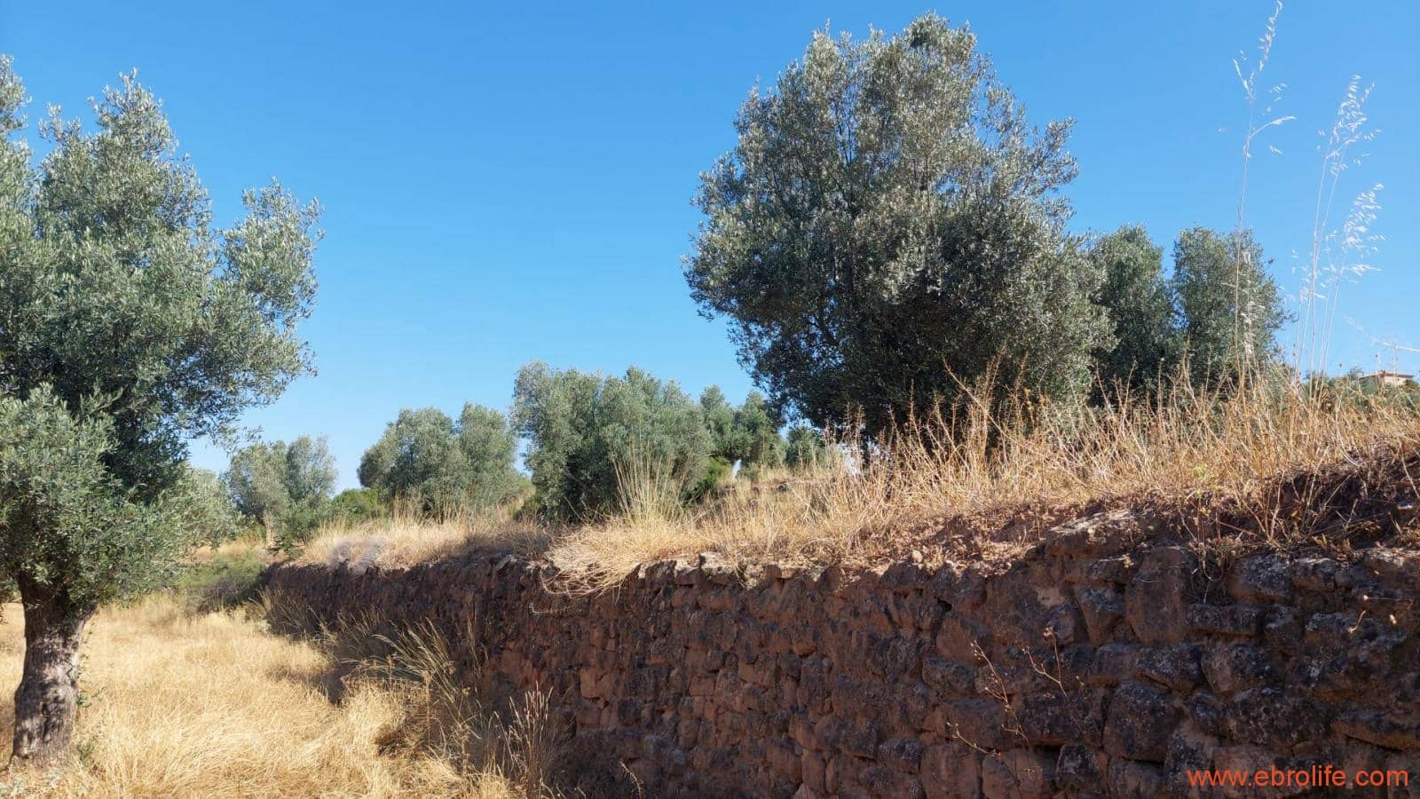 1 sovrum Finca/Hus på landet till salu i Belmonte de San Jose - 140 000 € (Ref: 9142407)