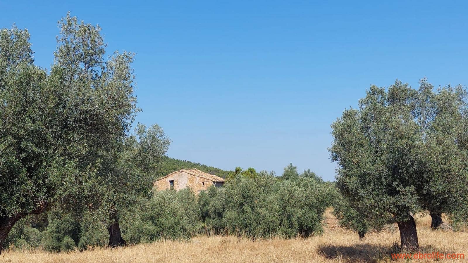 1 sovrum Finca/Hus på landet till salu i Belmonte de San Jose - 140 000 € (Ref: 9142407)