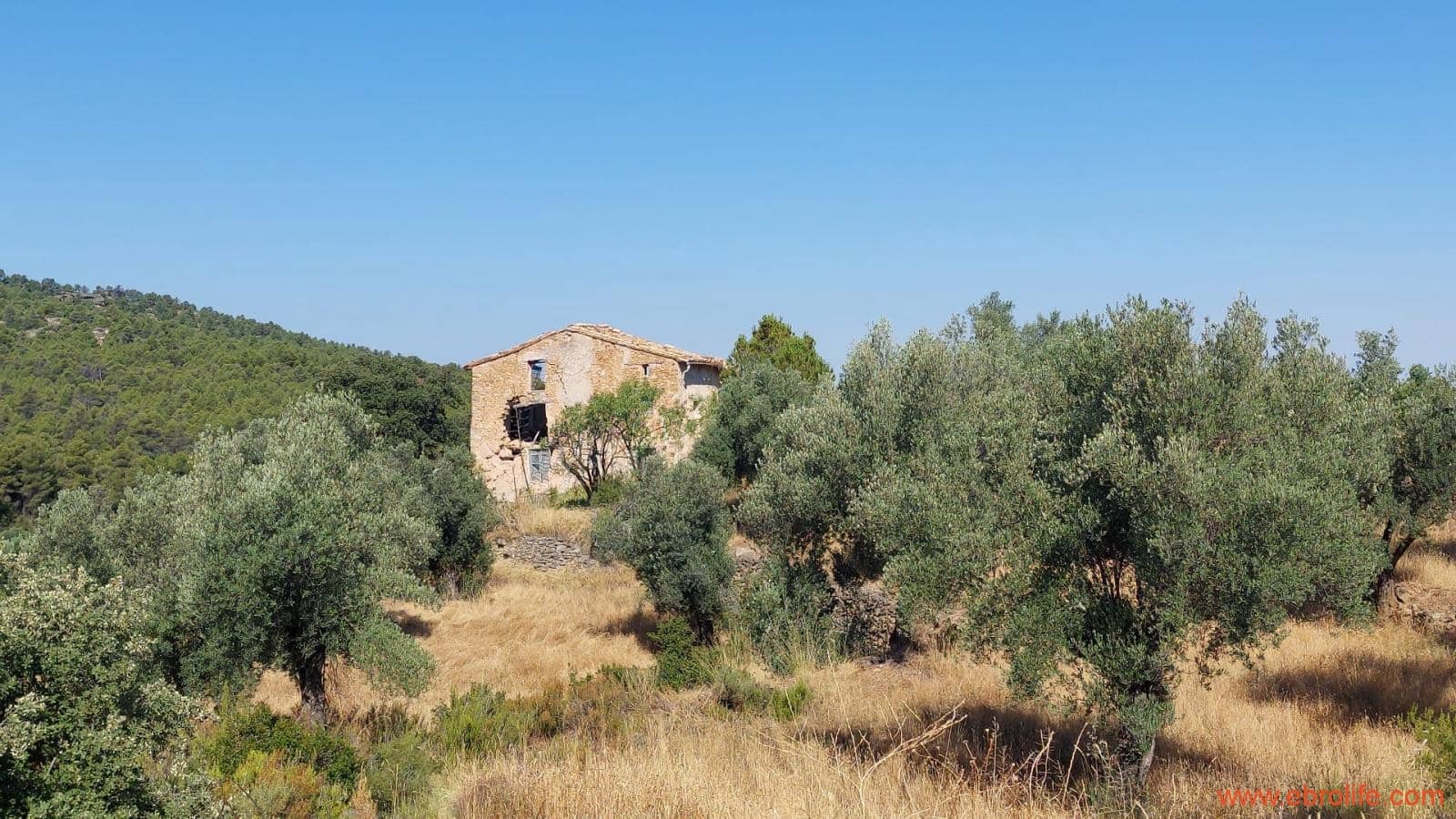 1 sovrum Finca/Hus på landet till salu i Belmonte de San Jose - 140 000 € (Ref: 9142407)