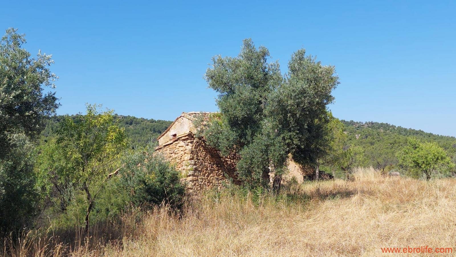 1 sovrum Finca/Hus på landet till salu i Belmonte de San Jose - 140 000 € (Ref: 9142407)