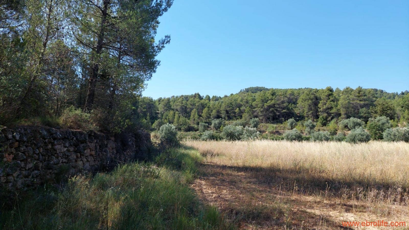 1 sovrum Finca/Hus på landet till salu i Belmonte de San Jose - 140 000 € (Ref: 9142407)