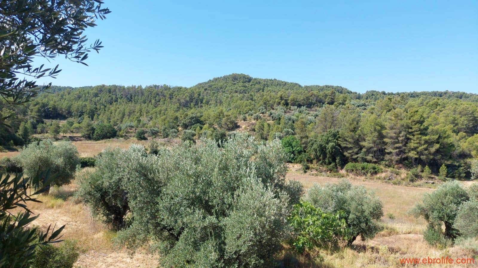 1 sovrum Finca/Hus på landet till salu i Belmonte de San Jose - 140 000 € (Ref: 9142407)