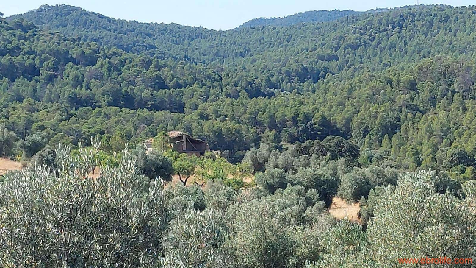 1 sovrum Finca/Hus på landet till salu i Belmonte de San Jose - 140 000 € (Ref: 9142407)