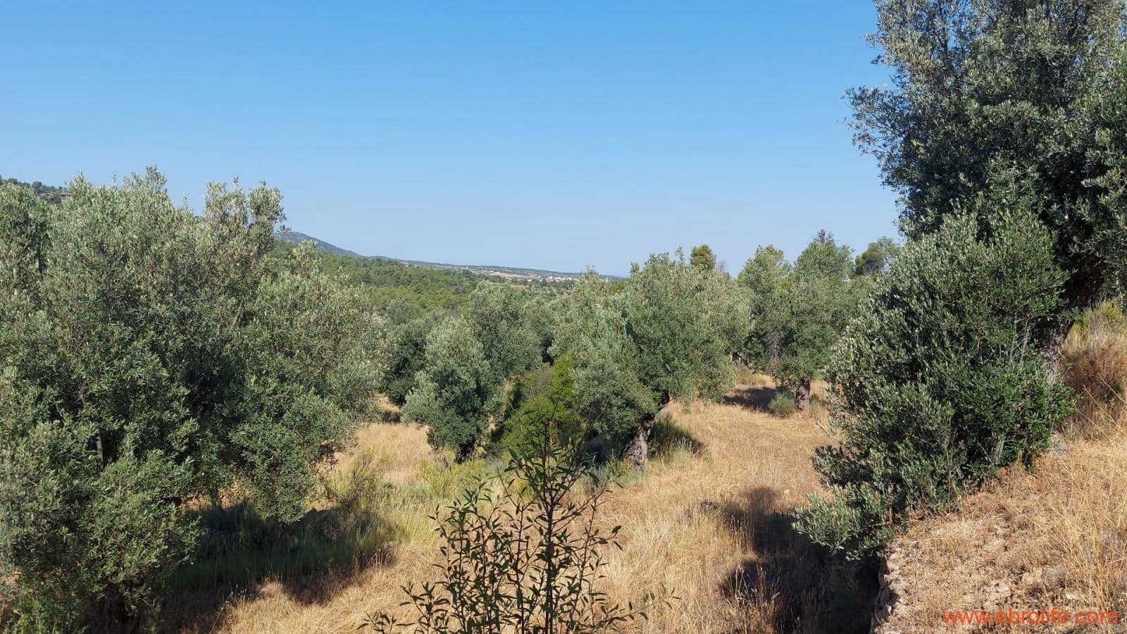 1 sovrum Finca/Hus på landet till salu i Belmonte de San Jose - 140 000 € (Ref: 9142407)